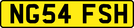 NG54FSH