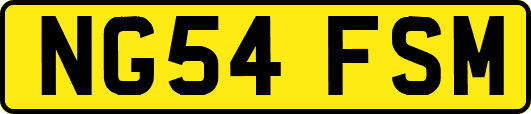 NG54FSM