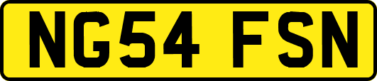 NG54FSN
