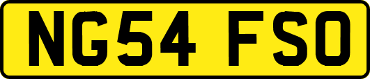 NG54FSO