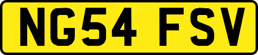 NG54FSV