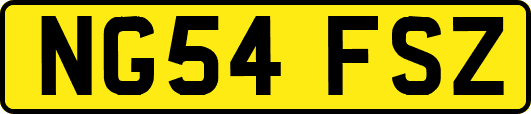 NG54FSZ