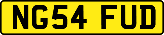 NG54FUD