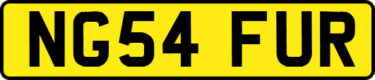 NG54FUR