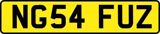 NG54FUZ