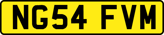 NG54FVM