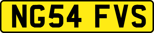 NG54FVS