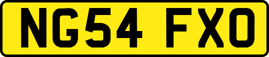 NG54FXO