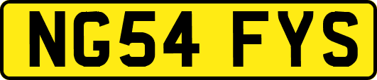 NG54FYS