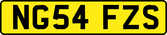 NG54FZS