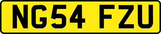 NG54FZU