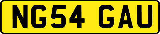 NG54GAU
