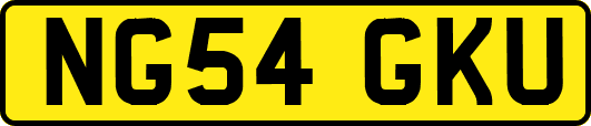 NG54GKU