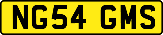 NG54GMS