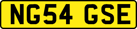 NG54GSE