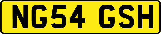 NG54GSH