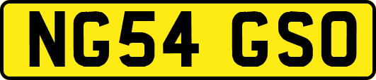 NG54GSO