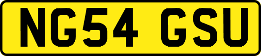 NG54GSU