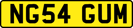 NG54GUM