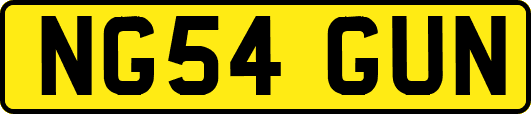 NG54GUN