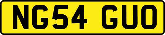 NG54GUO
