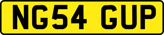NG54GUP