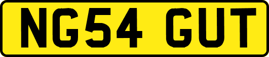 NG54GUT