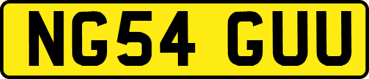 NG54GUU
