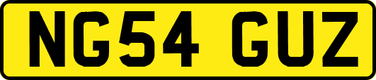 NG54GUZ