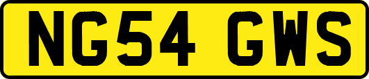 NG54GWS