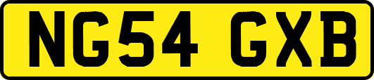NG54GXB