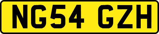 NG54GZH
