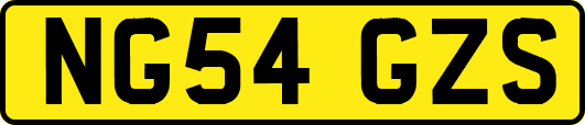 NG54GZS