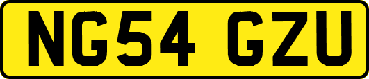 NG54GZU