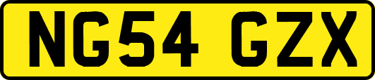 NG54GZX