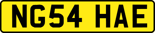 NG54HAE