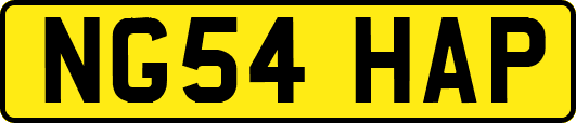 NG54HAP