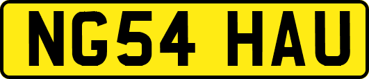 NG54HAU