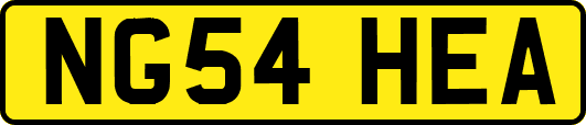 NG54HEA