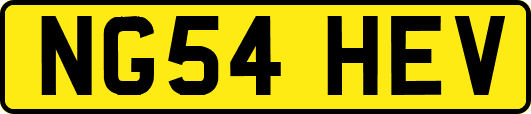 NG54HEV