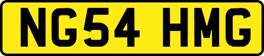 NG54HMG