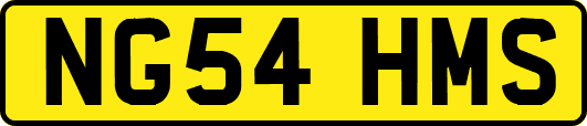 NG54HMS