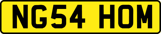 NG54HOM
