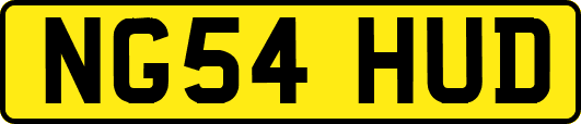 NG54HUD
