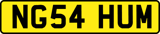 NG54HUM