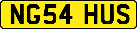 NG54HUS