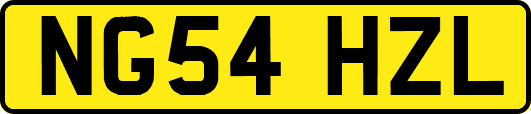 NG54HZL