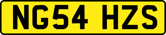 NG54HZS