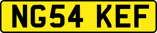 NG54KEF