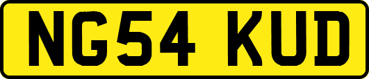 NG54KUD